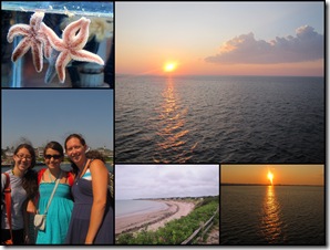 August 2011 Blog review3