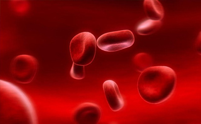 realizan-primera-transfusion