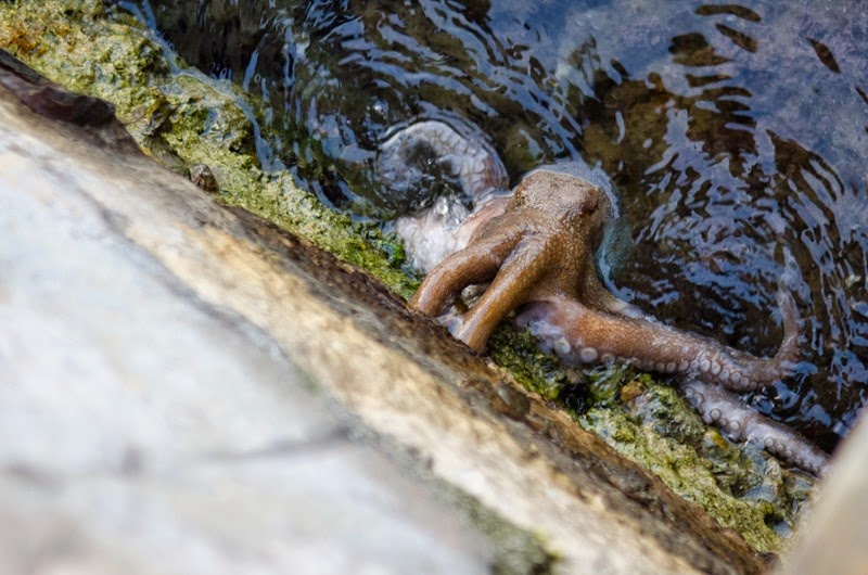 [A%2520day%2520in%2520Nice-110%255B3%255D.jpg]