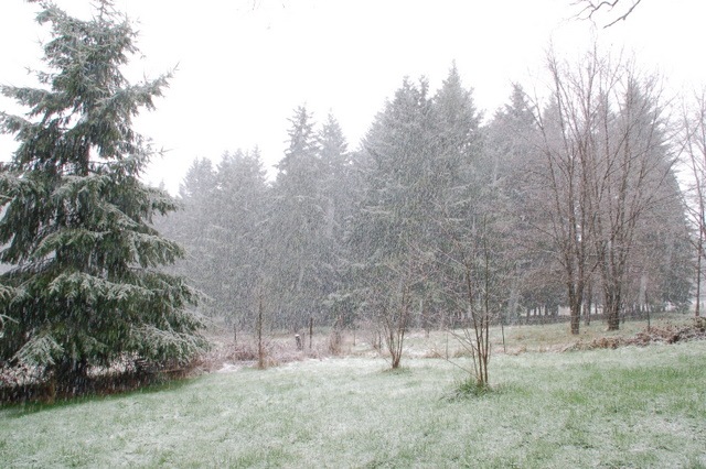 [DSC_5507%255B4%255D.jpg]