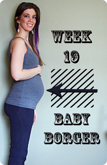 19 weeks