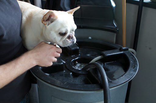 Step 1 – Fill the tank with water to the appropriate gallon marker.  There, that looks about right.  Now turn it on and aerate for 30 minutes to allow any chlorine to escape from treated water.