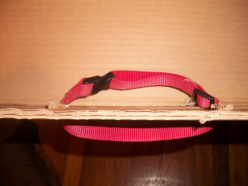 Thread the collar through the box, then close the clasp.