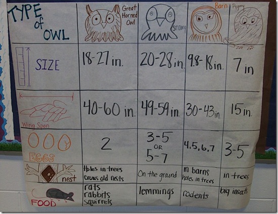 owl graph 2