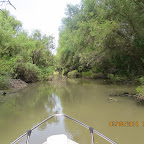 IMG_5767.JPG