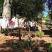 Lidwala guests can do their own laundry or pay a small fee to have it done for them. Drying is generally done solar style!