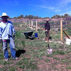 farm shots 2011