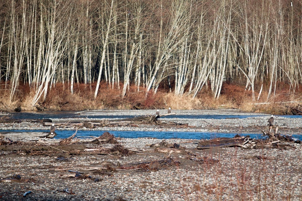 [IMG_3054-2%255B7%255D.jpg]