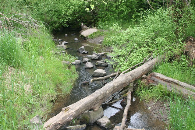 [2011-05-29%2520Happy%2520Valley%2520Park%2520%252824%2529%255B3%255D.jpg]