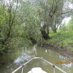 IMG_5791.JPG