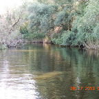 DSCN4570.JPG