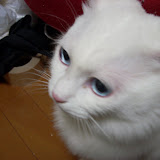 2008