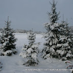 3-1-2010-076.jpg