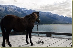 Ponywharf-11