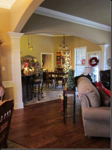 Christmas 2011 255