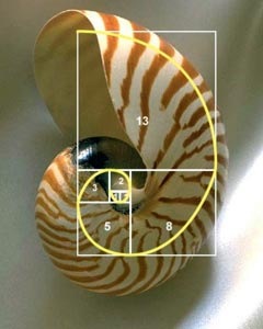 [Fibonacci03%255B2%255D.jpg]