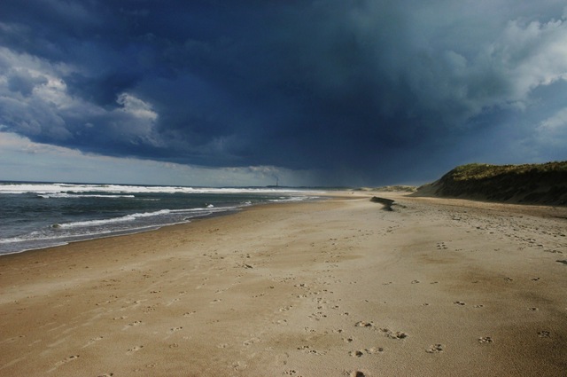 [IMG_8324%255B21%255D.jpg]