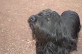 Blog - 2012 - Massi begging 2-8