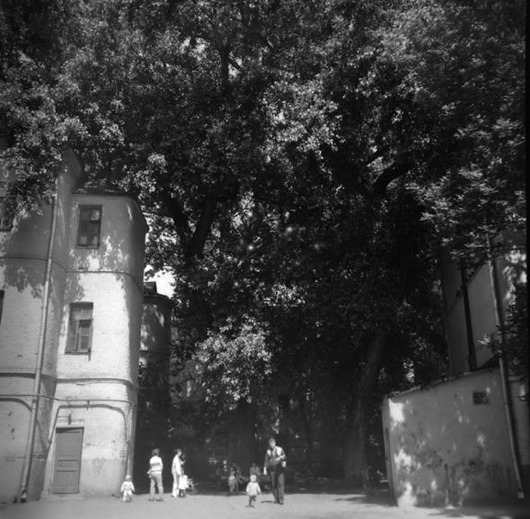 clip_image050 clip_image050