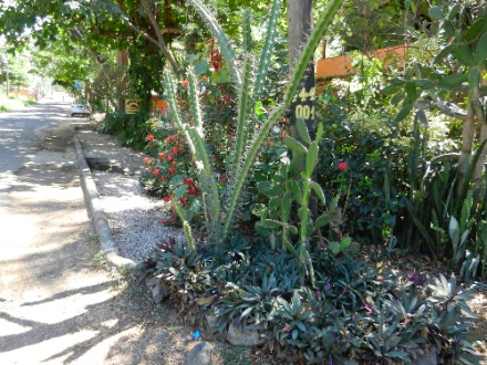 DSCN9906.jpg DSCN9906