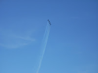 DSCN0239.JPG