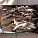 beachfinds_10 - 038.jpg