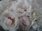 Gorgeous!