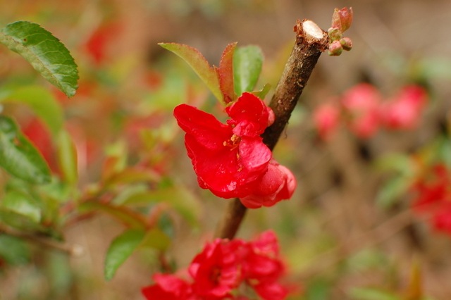 [DSC_5888%255B4%255D.jpg]