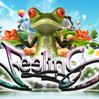  FLYERS_2011