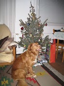 IMG_3065.JPG