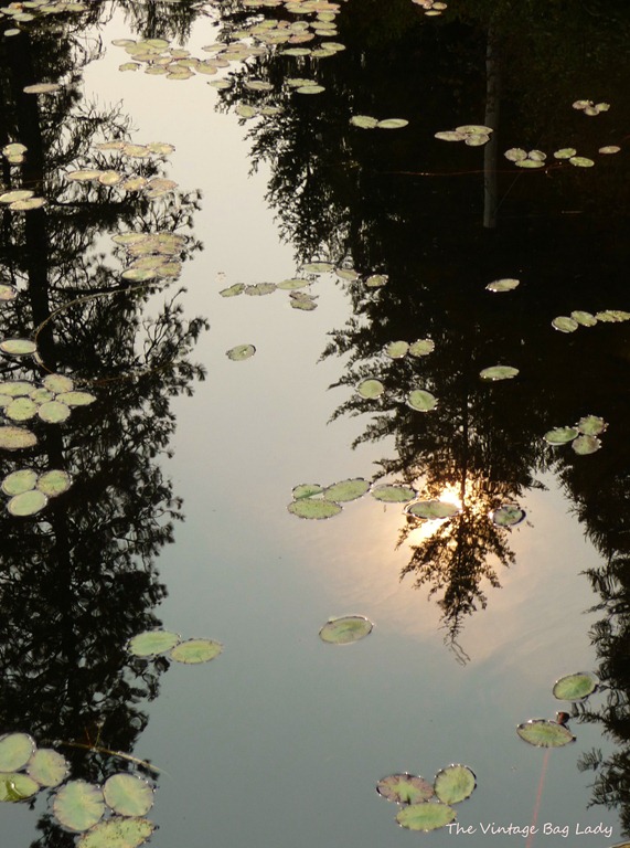 [lake-kelso-0035.jpg]