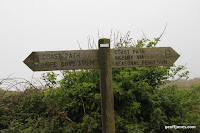 IMG_9330.JPG Photo
