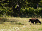 glacier_national_park_-_2009