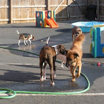 DSCN2522.jpg