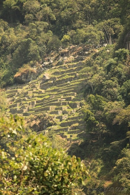 [IMG_7255%255B7%255D.jpg]