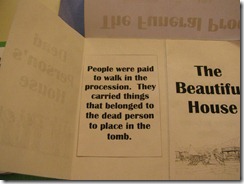 IMG_8607 IMG_8607