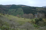 Guenzelai