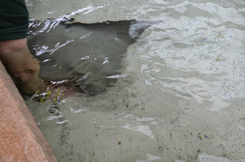 [DSC_8999%255B3%255D.jpg]