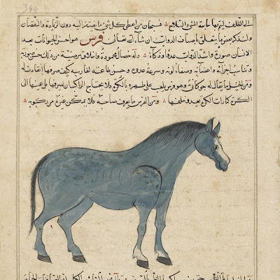 Folio from Aja'ib al-makhluqat (Wonders of Creation) by al-Qazvini; recto: Horse (Faras); verso: text | Origin: Iraq or Eastern Turkey | Period: early 15th century | Details: Not Available | Type: Opaque watercolor, ink and gold on paper | Size: H: 32.7 W: 22.4 cm | Museum Code: F1954.84 | Photograph and description taken from Freer and the Sackler (Smithsonian) Museums. 1cfcdfb0933f46bb9da1b4d53c9f3fe0.jpg