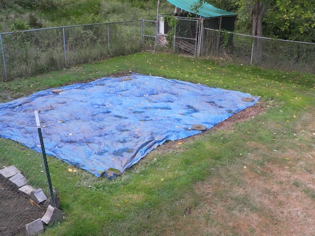 [goodbye%2520garden%252002%255B3%255D.jpg]