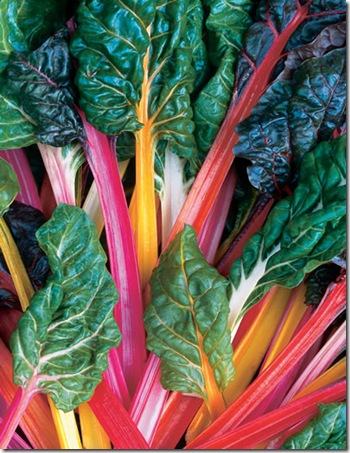 Swiss Chard Bright Lights