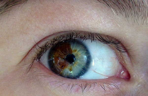 curiosidades interessantes que provavelmente você não sabia 1 curiosidades interessantes que provavelmente você não sabia 1