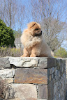 Perched up here, one can see all the activity going on at the farm.