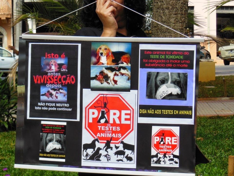 [pare_testes_animais%255B3%255D.jpg]