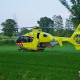 IMGP7402.JPG
