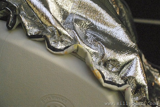 Carseat3