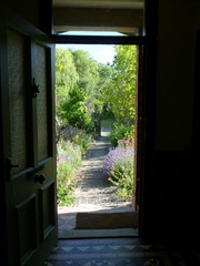 garden june 2011 019