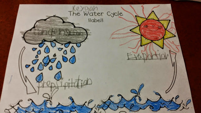 Mrs. Peterson's 1st Grade: The Water Cycle