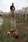 Hi, Shaun - Say, what are you doing up on that step ladder with that big hammer?