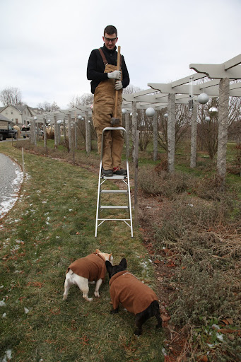 Hi, Shaun - Say, what are you doing up on that step ladder with that big hammer?